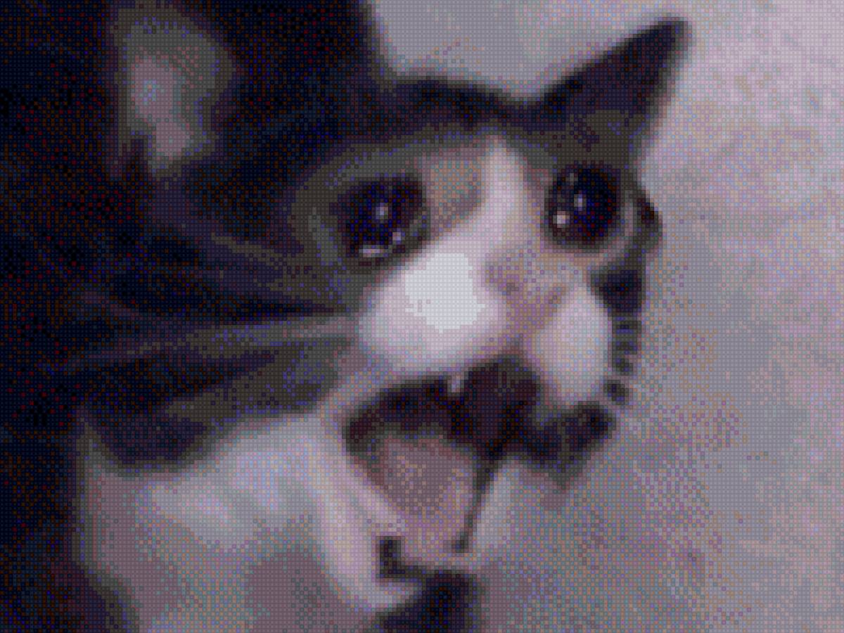 Кот кричит - кот, мем - предпросмотр