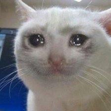 Схема вышивки «Котик плачет»