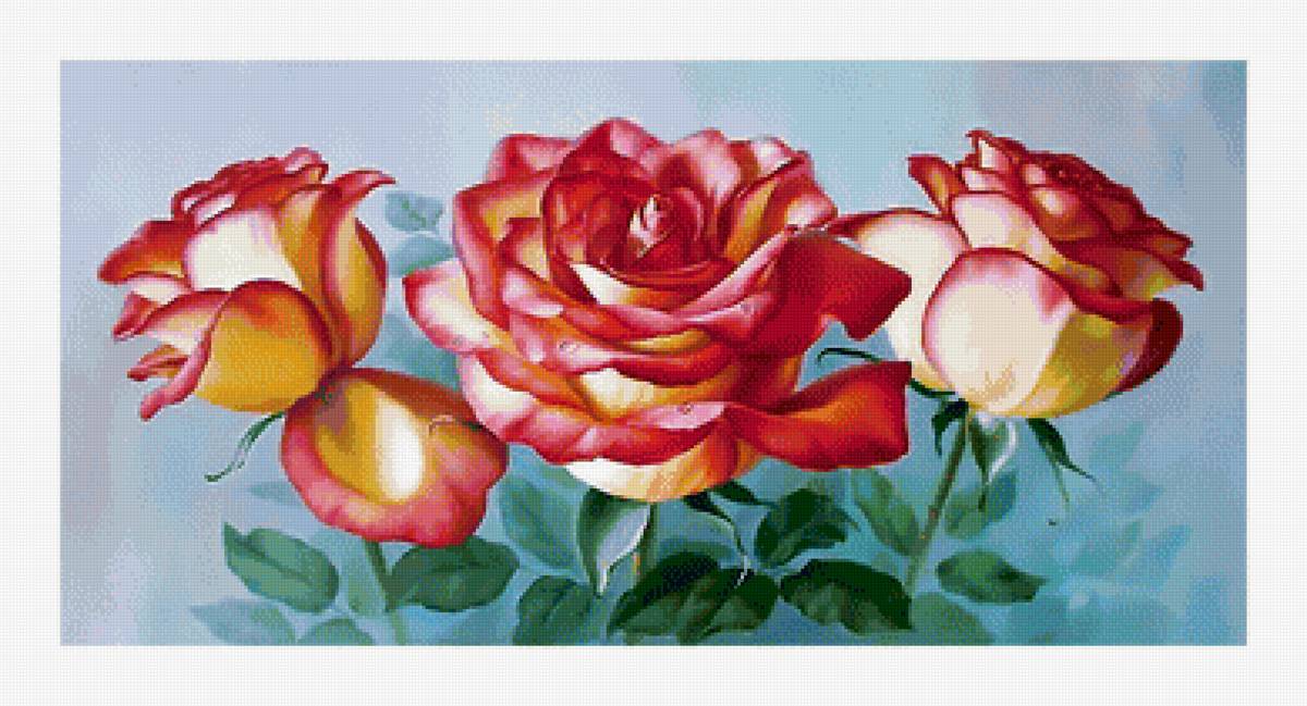 Акварельные розы. - акварель, живопись, букет, розы, цветы - предпросмотр