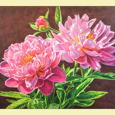 Схема вышивки «Солнечный пион.»