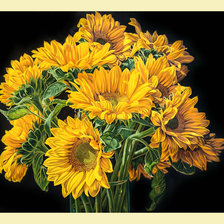 Схема вышивки «Подсолнухи.»
