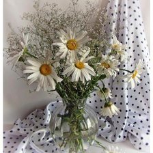 Букет ромашек