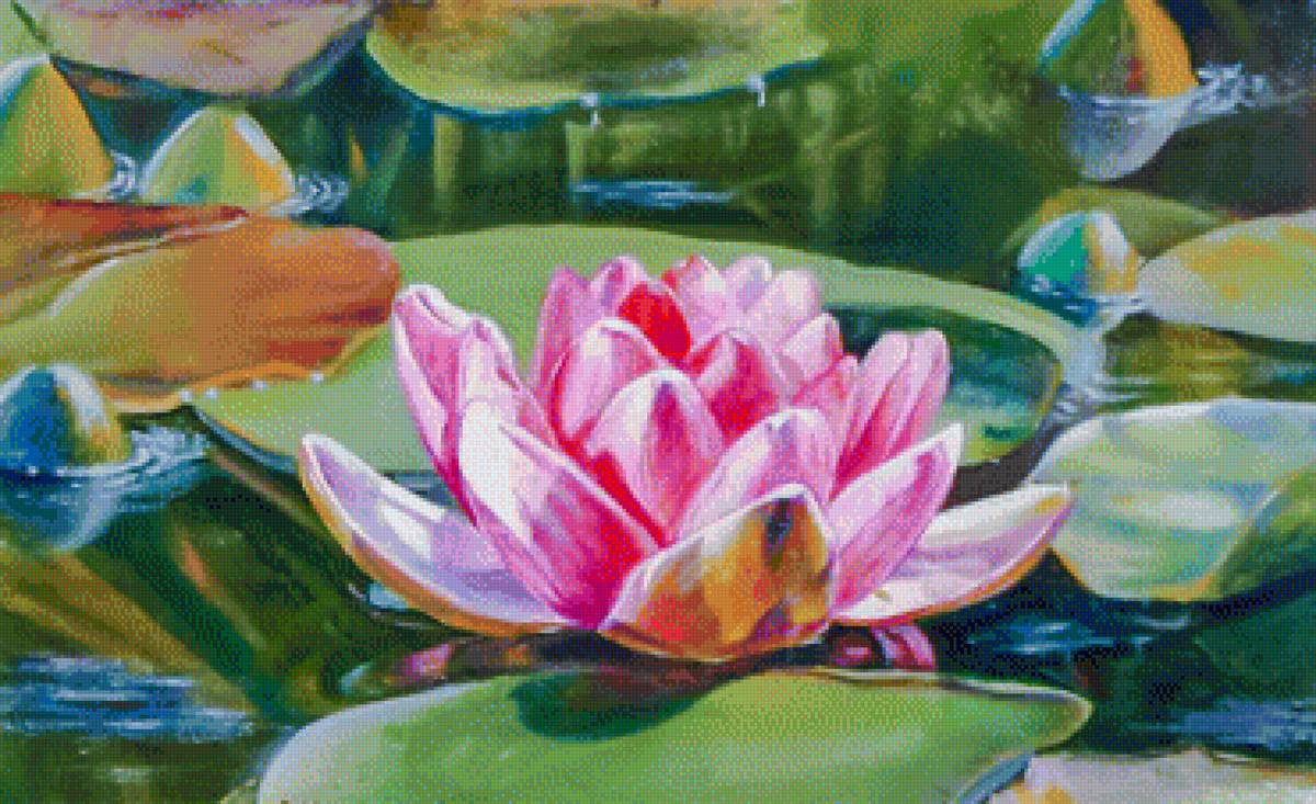 Lotus. - galina kudryashova art.flowers and gardens. - предпросмотр