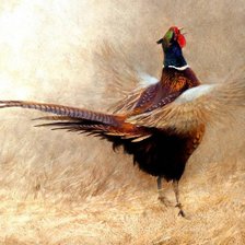 Схема вышивки «№2024497»