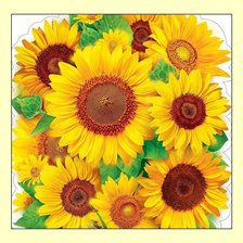 Схема вышивки «№2024769»