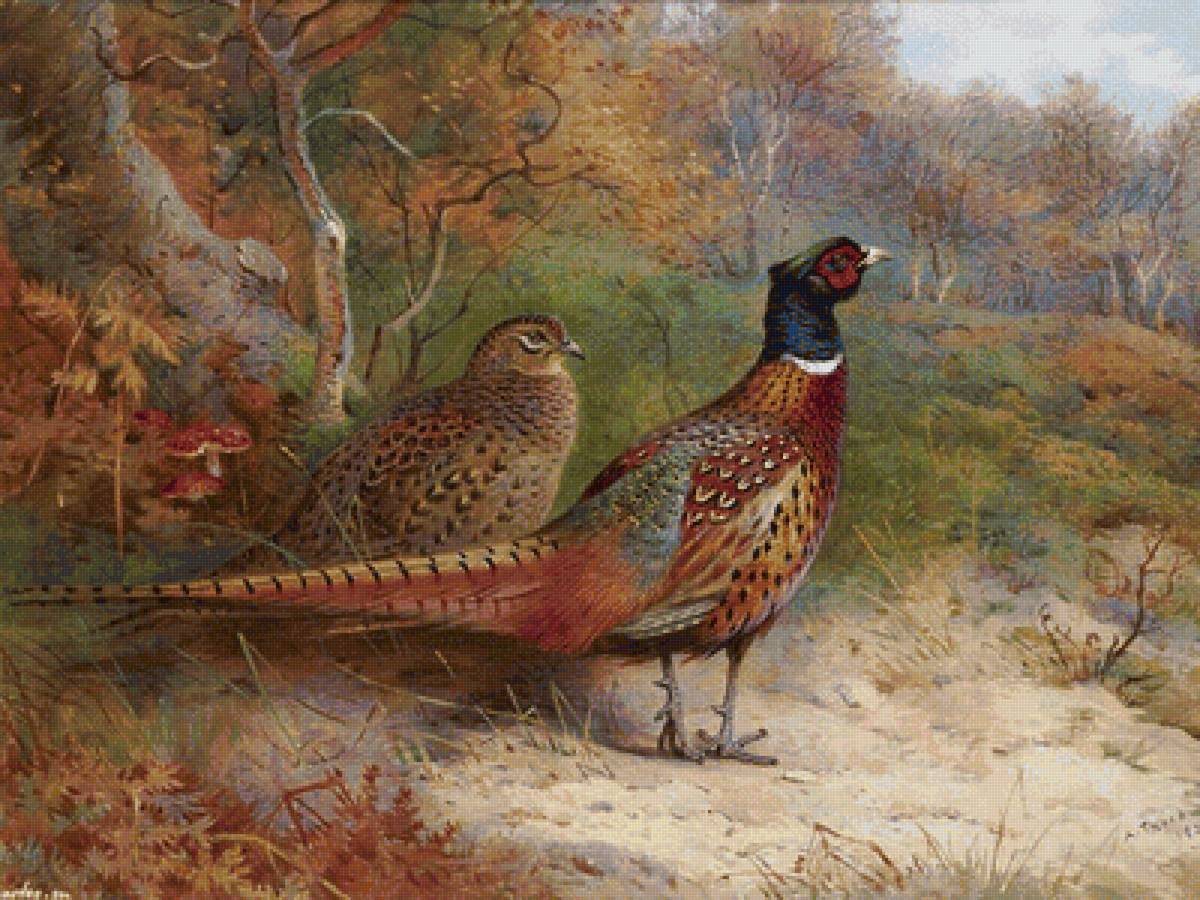 №2024776 - предпросмотр