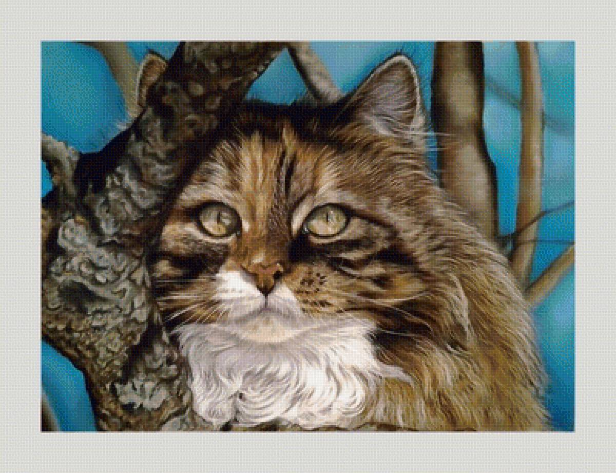 №2024782 - коты, животные - предпросмотр