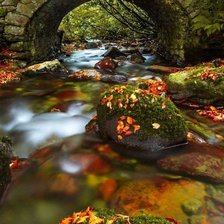 Схема вышивки «b»