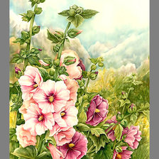 Схема вышивки «Серия "Цветы". Мальвы»