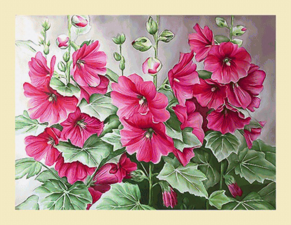 Серия "Цветы". Мальвы - флора, цветы, мальвы - предпросмотр