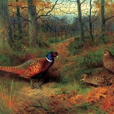 Схема вышивки «№2024865»