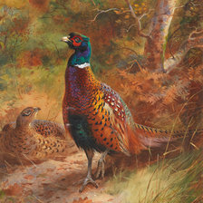 Схема вышивки «№2024869»