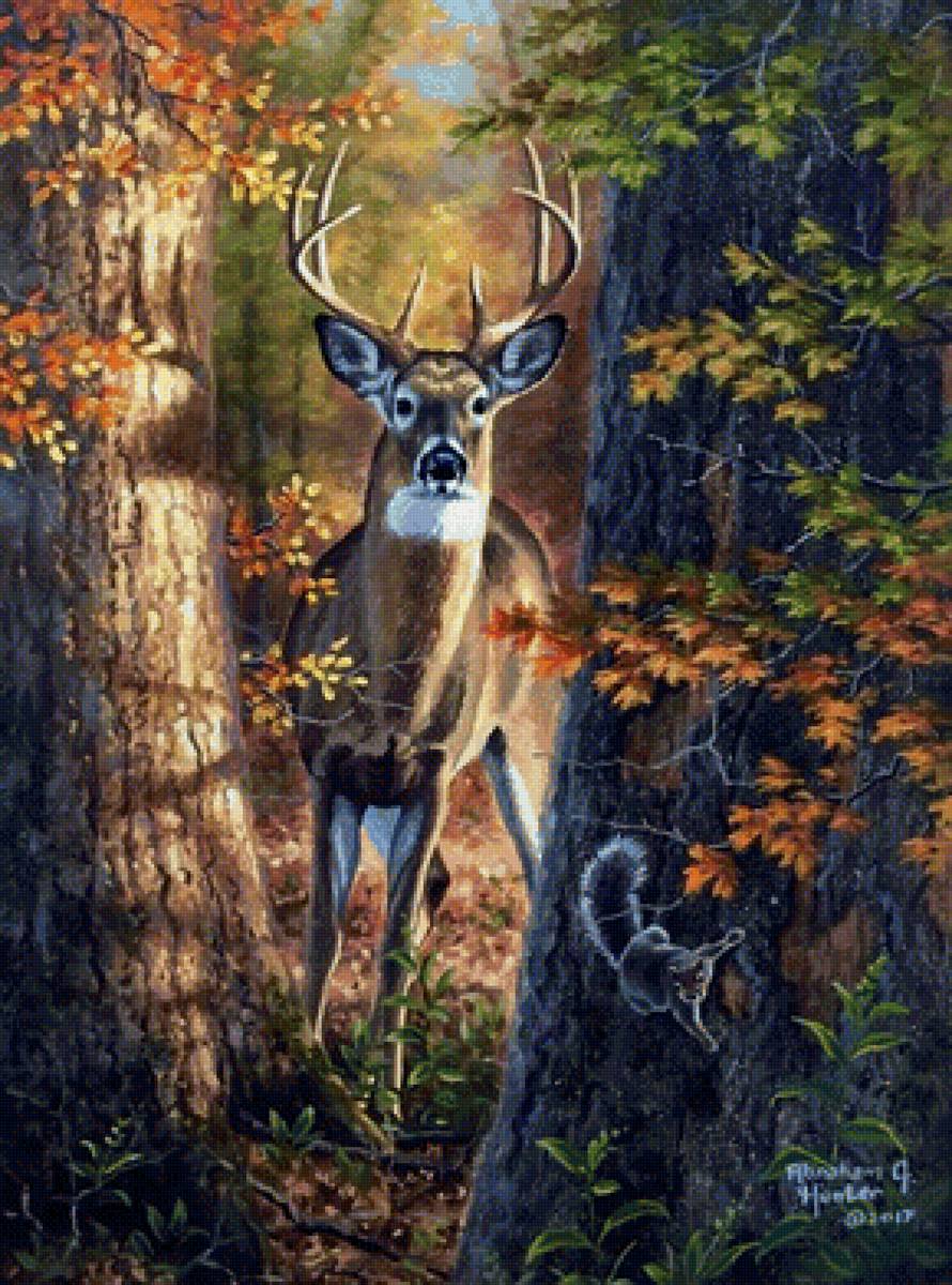 В лесу - лес, природа, деревья, фауна, олень - предпросмотр