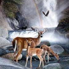 Схема вышивки «У водопада»