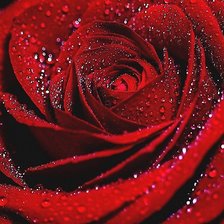 Схема вышивки «Серебро и бордо»