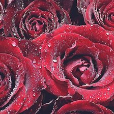 Схема вышивки «Цветы и капли»