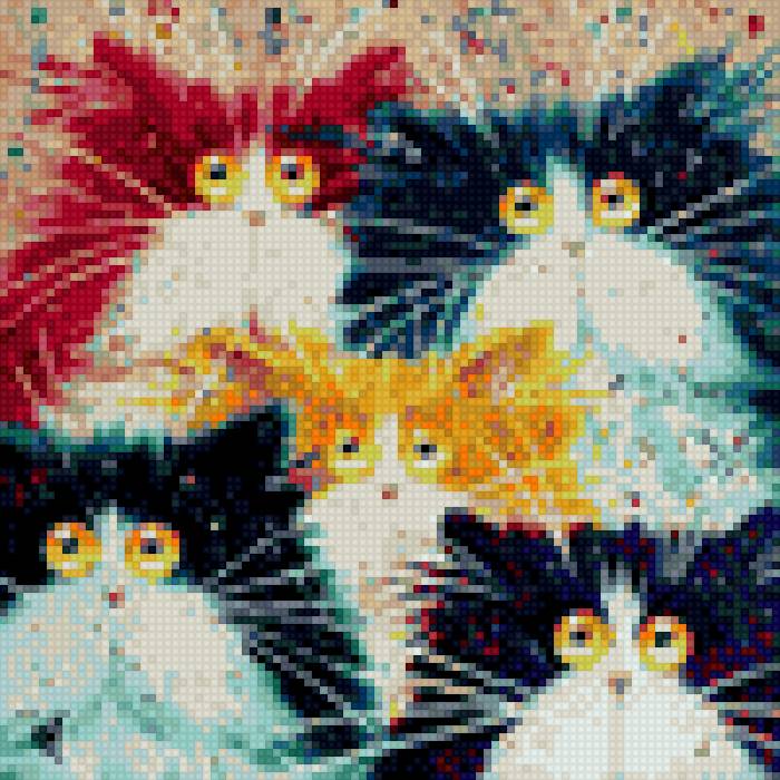 забавные кошки - предпросмотр