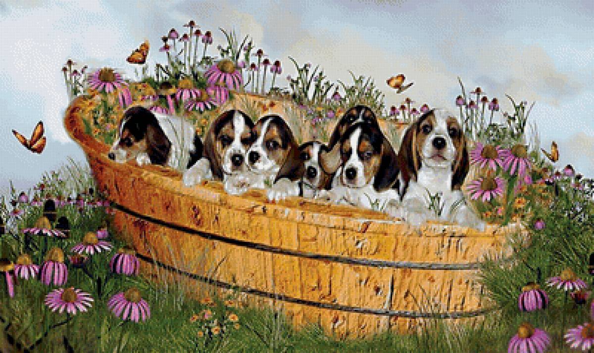 №2024986 - животные, собачки, щенки - предпросмотр