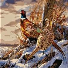 Схема вышивки «№2025029»