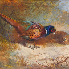 Схема вышивки «№2025038»