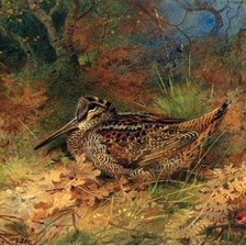 Схема вышивки «№2025124»