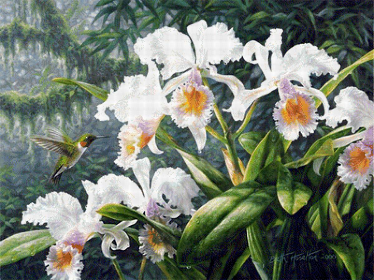 №2025183 - предпросмотр