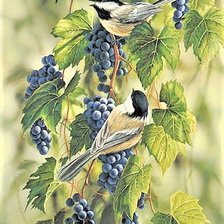 Схема вышивки «№2025192»