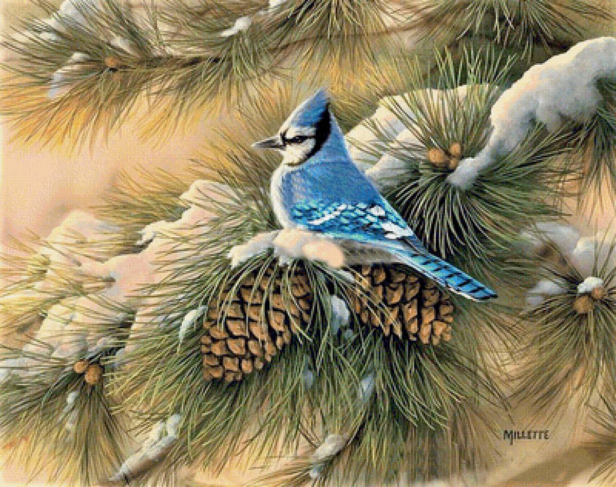 №2025193 - предпросмотр