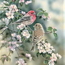 Схема вышивки «№2025194»