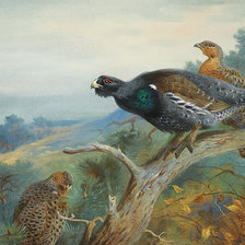 Схема вышивки «№2025199»