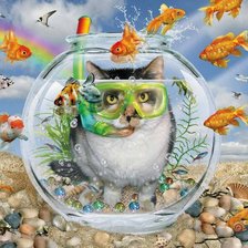 Схема вышивки «аквариумный кот»