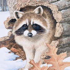 Схема вышивки «Енотик»