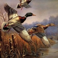 Схема вышивки «Утки»