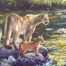 Схема вышивки «Mom's Pride.»