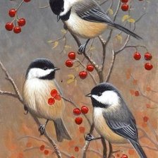 Схема вышивки «Птицы»