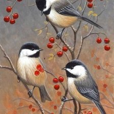 Схема вышивки «sikorki na jarzębinie»
