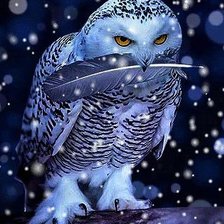 Схема вышивки «птицы»