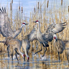 Схема вышивки «Журавли»