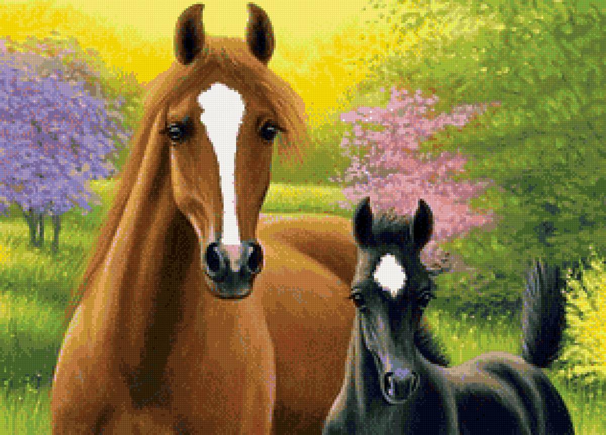 Мама - лошади, лето, жеребенок - предпросмотр