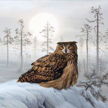 Схема вышивки «№2025894»