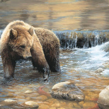 Схема вышивки «Бурый нагуливает жирок»