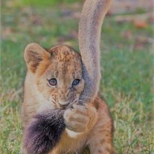 Схема вышивки «№2025989»