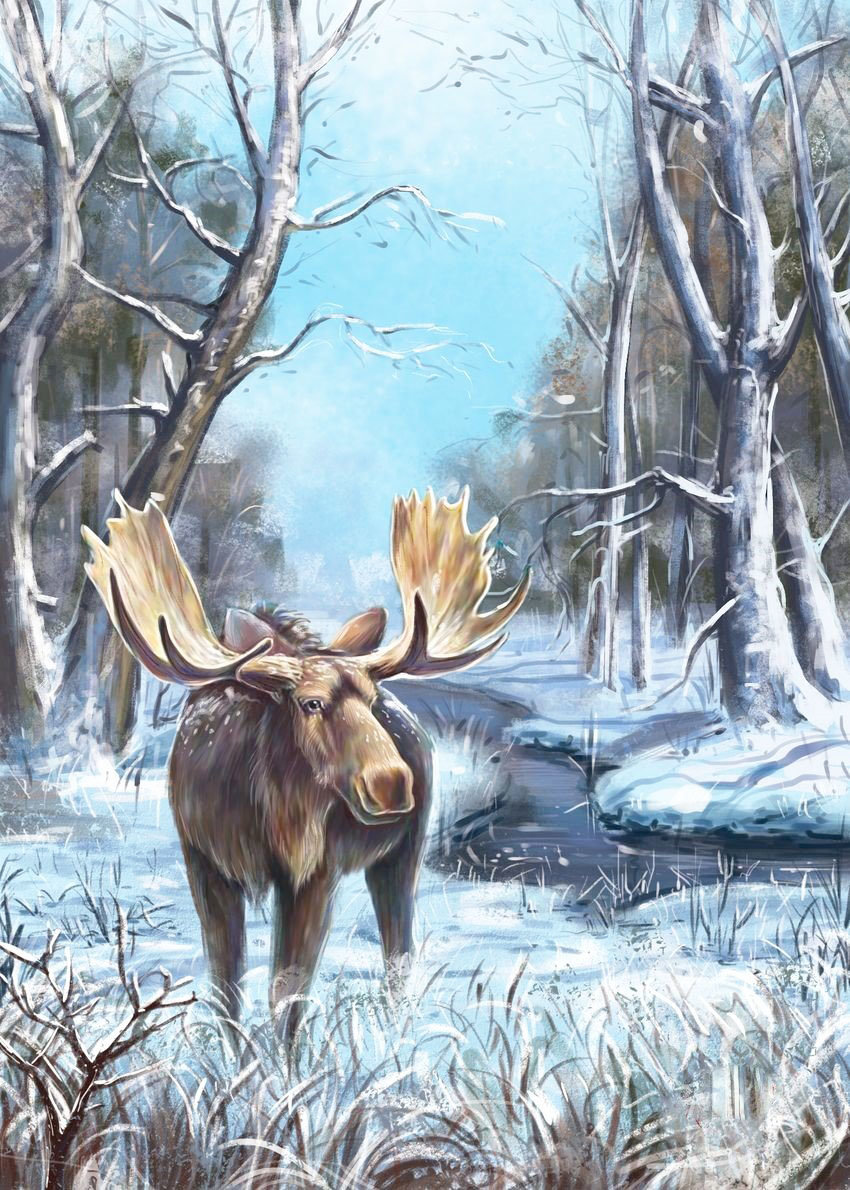 №2025998 - зима, животные, лес, лось - оригинал