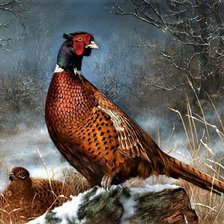 Схема вышивки «№2026053»