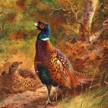 Схема вышивки «№2026059»