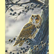 Схема вышивки «Сова.»