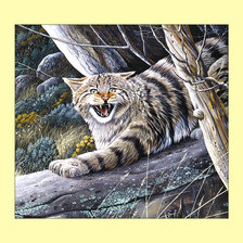 Схема вышивки «Дикий кот.»