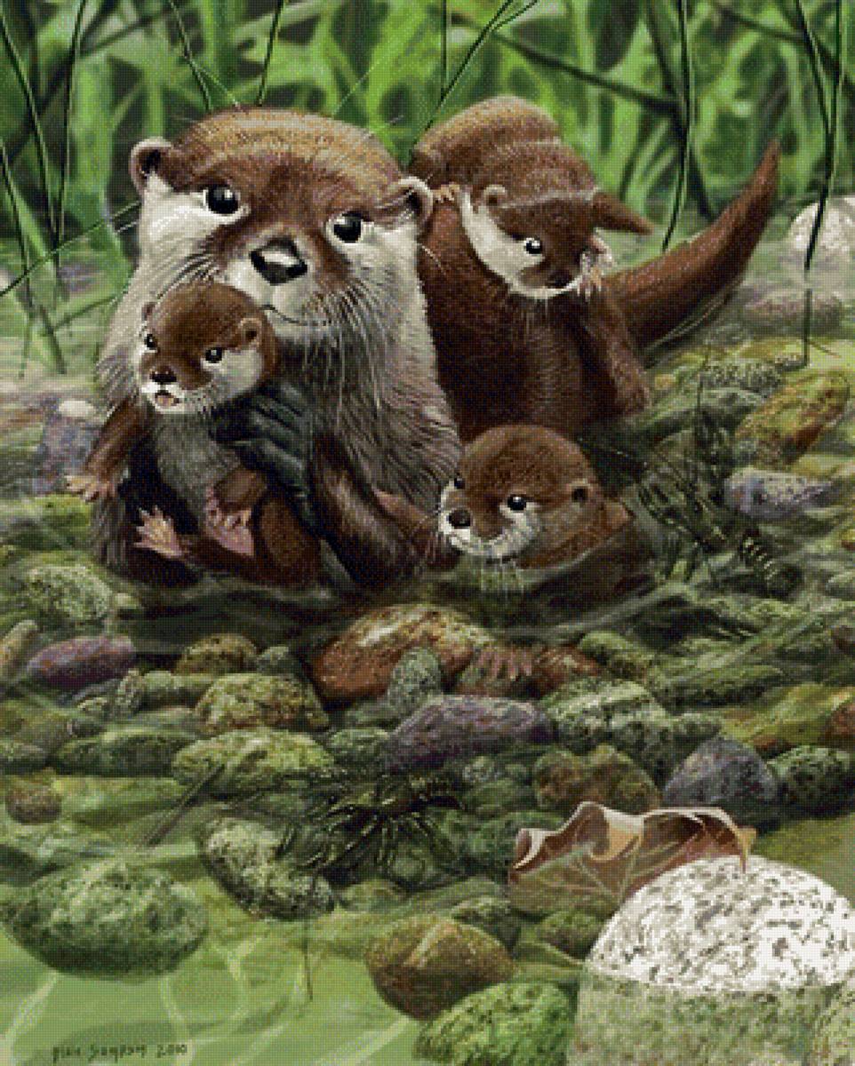 Выдры - выдры, фауна - предпросмотр