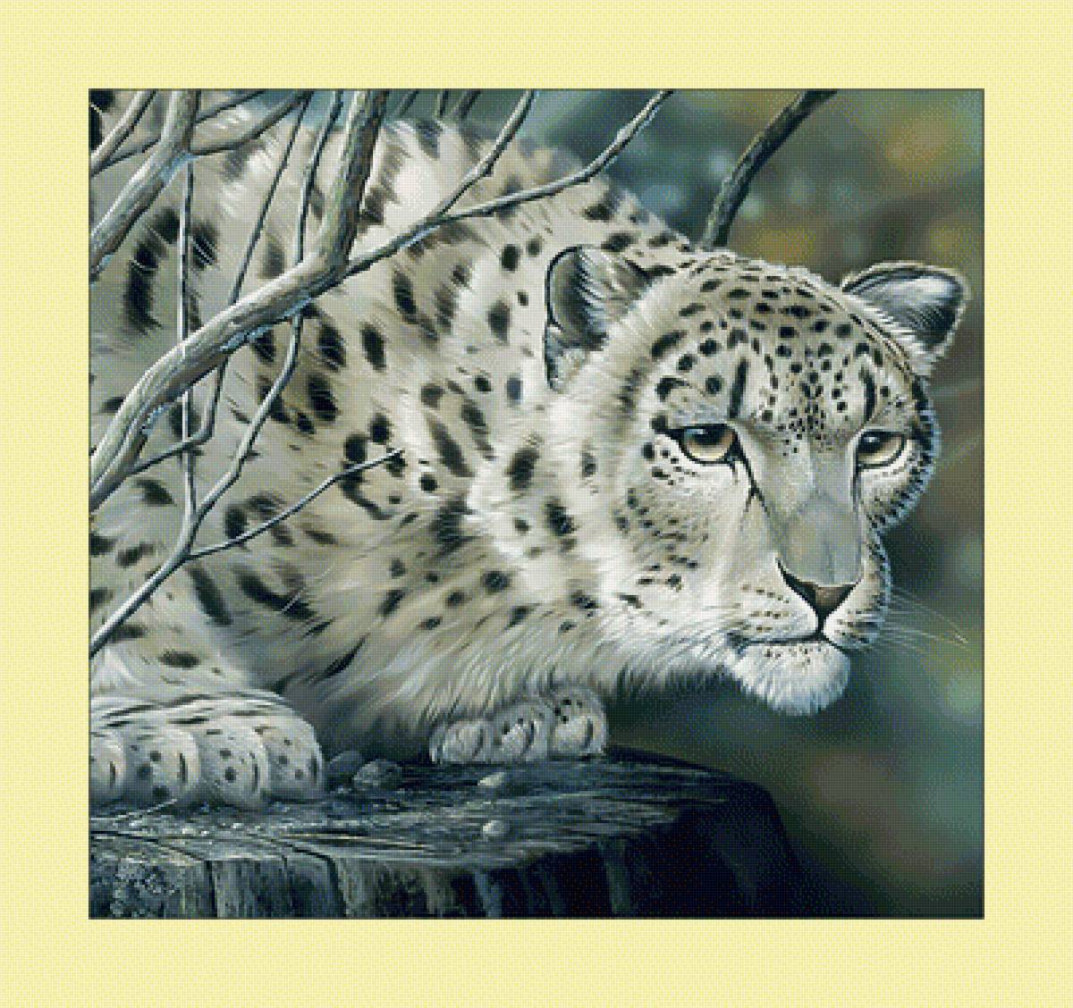 Ирбис. - снежный барс, хищник, ирбис, животные, живопись - предпросмотр