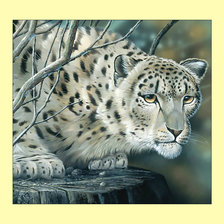 Схема вышивки «Ирбис.»